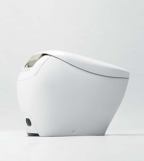 NX type